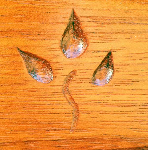 moe-adam-symbol2